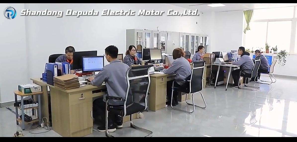 Shandong Depuda Electric Motor Co., Ltd.