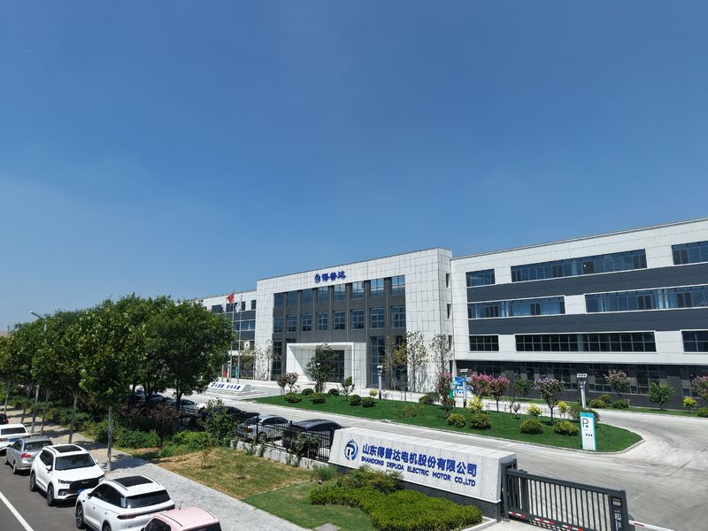China Shandong Depuda Electric Motor Co., Ltd. Unternehmensprofil 