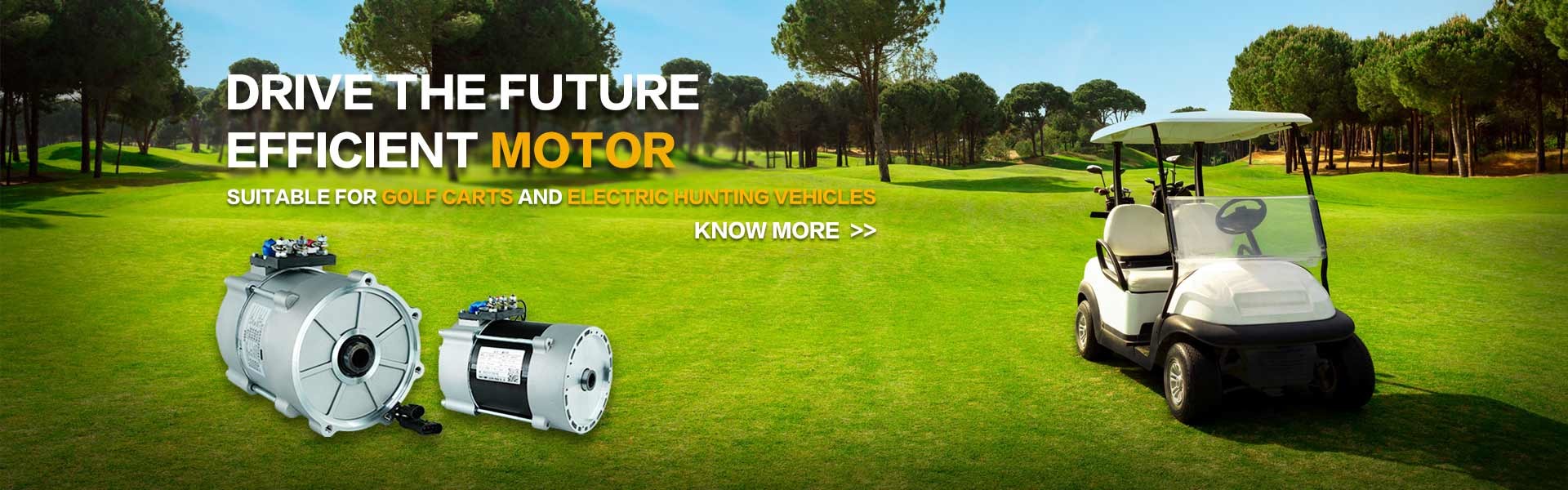 Kalite Elektrikli Mobilite Scooter Motoru Fabrika
