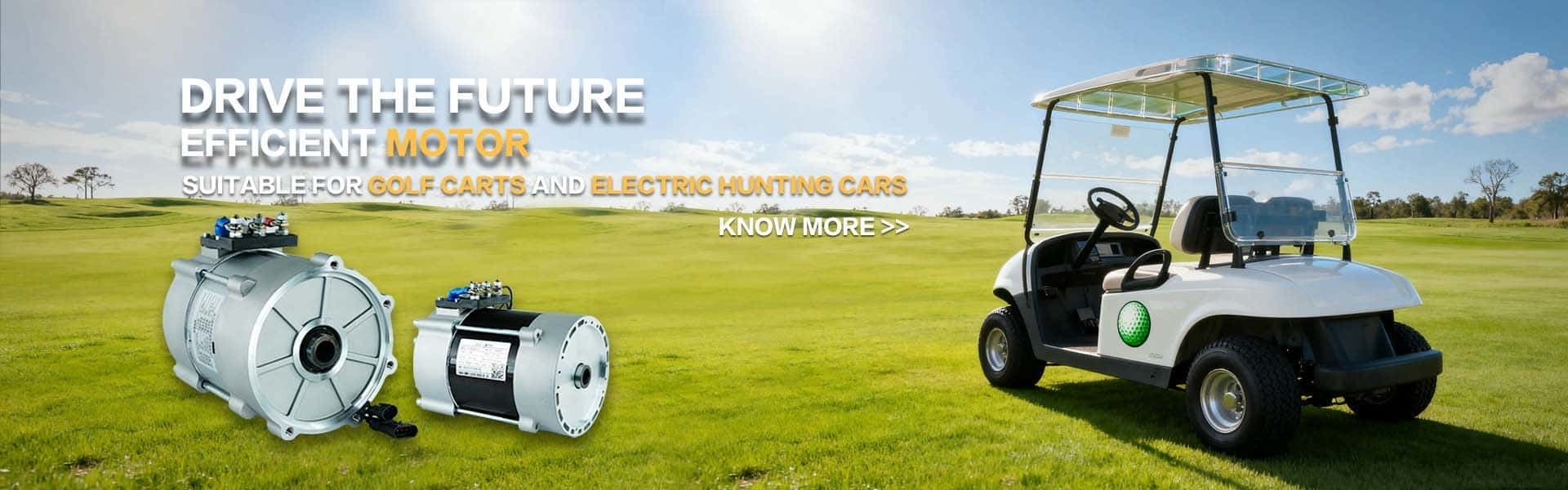 quality Electric Mobility Scooter Motor factory